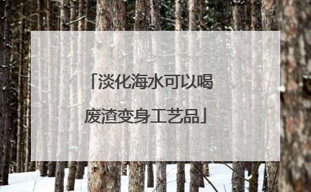 淡化海水可以喝 废渣变身工艺品