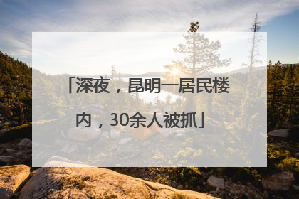 深夜，昆明一居民楼内，30余人被抓