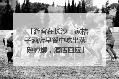游客在长沙一家桔子酒店早餐中吃出蒸熟蟑螂，酒店回应