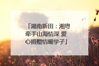 湖南新田：湘粤牵手山海情深 爱心捐赠情暖学子