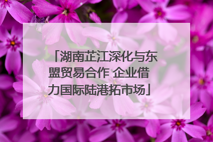湖南芷江深化与东盟贸易合作 企业借力国际陆港拓市场