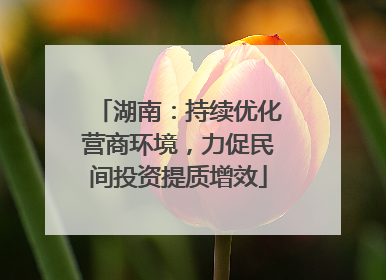湖南：持续优化营商环境，力促民间投资提质增效