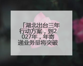 湖北出台三年行动方案，到2027年，年寄递业务量将突破80亿件