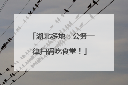 湖北多地：公务一律扫码吃食堂！