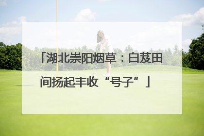 湖北崇阳烟草：白芨田间扬起丰收“号子”