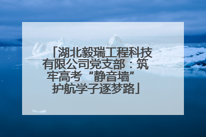 湖北毅瑞工程科技有限公司党支部：筑牢高考“静音墙” 护航学子逐梦路