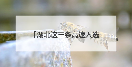 湖北这三条高速入选“全国美丽公路”