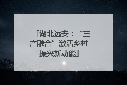 湖北远安：“三产融合”激活乡村振兴新动能