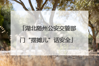 湖北随州公安交管部门“摆摊儿”话安全
