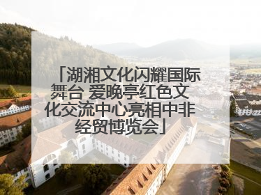 湖湘文化闪耀国际舞台 爱晚亭红色文化交流中心亮相中非经贸博览会