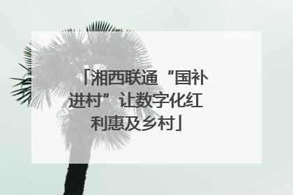 湘西联通“国补进村”让数字化红利惠及乡村