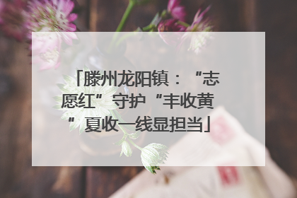 滕州龙阳镇：“志愿红”守护“丰收黄”夏收一线显担当