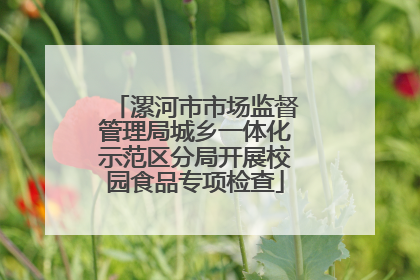 漯河市市场监督管理局城乡一体化示范区分局开展校园食品专项检查