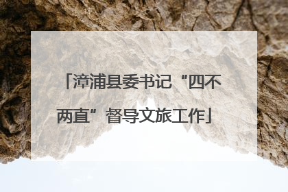 漳浦县委书记“四不两直”督导文旅工作