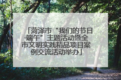菏泽市“我们的节日·端午”主题活动暨全市文明实践精品项目案例交流活动举办