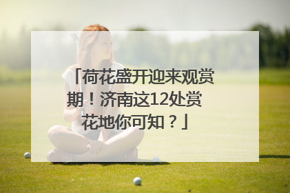 荷花盛开迎来观赏期！济南这12处赏花地你可知？
