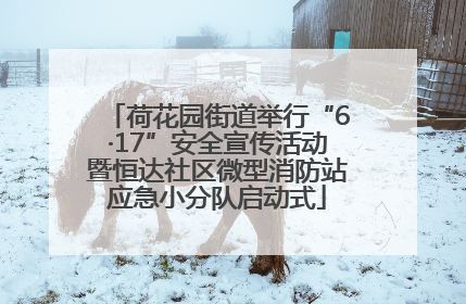 荷花园街道举行“6·17”安全宣传活动暨恒达社区微型消防站应急小分队启动式