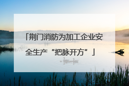 荆门消防为加工企业安全生产“把脉开方”