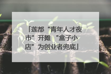 莲都“青年人才夜市”开摊 “盒子小店”为创业者兜底