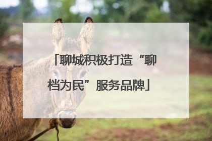 聊城积极打造“聊档为民”服务品牌