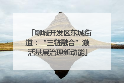 聊城开发区东城街道：“三链融合”激活基层治理新动能