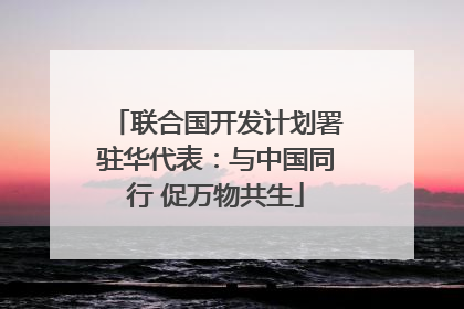 联合国开发计划署驻华代表：与中国同行 促万物共生