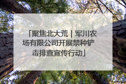 聚焦北大荒｜军川农场有限公司开展禁种铲毒排查宣传行动