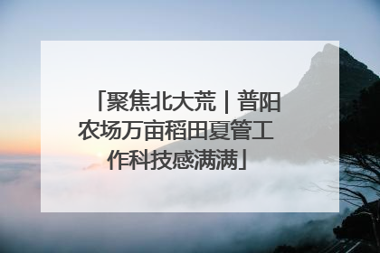 聚焦北大荒｜普阳农场万亩稻田夏管工作科技感满满