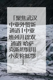 聚焦武汉中亚外贸新通道│中亚班列开辟双通道 哈萨克斯坦饲用小麦将抵鄂