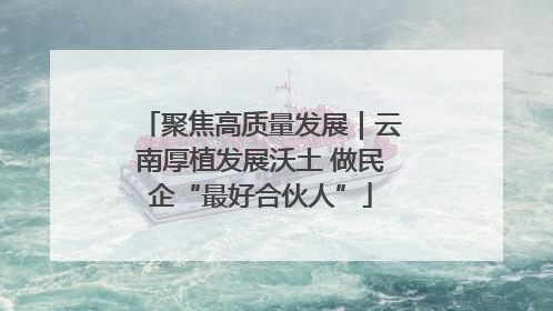 聚焦高质量发展｜云南厚植发展沃土 做民企“最好合伙人”