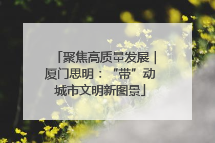 聚焦高质量发展｜厦门思明：“带”动城市文明新图景