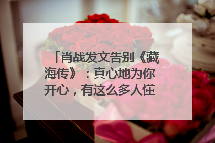 肖战发文告别《藏海传》：真心地为你开心，有这么多人懂你，导演回应“是否有第二季”