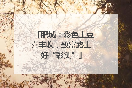 肥城：彩色土豆喜丰收，致富路上好“彩头”