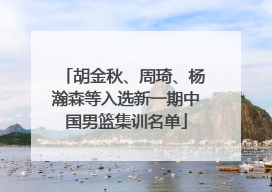 胡金秋、周琦、杨瀚森等入选新一期中国男篮集训名单
