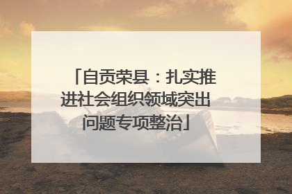 自贡荣县：扎实推进社会组织领域突出问题专项整治
