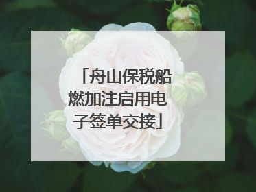 舟山保税船燃加注启用电子签单交接
