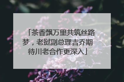 茶香飘万里共筑丝路梦，老挝副总理吉乔期待川老合作更深入