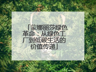 蒙娜丽莎绿色革命：从绿色工厂到低碳生活的价值传递