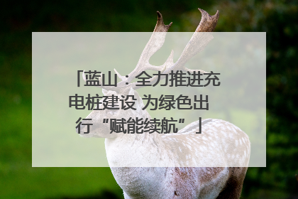 蓝山：全力推进充电桩建设 为绿色出行“赋能续航”