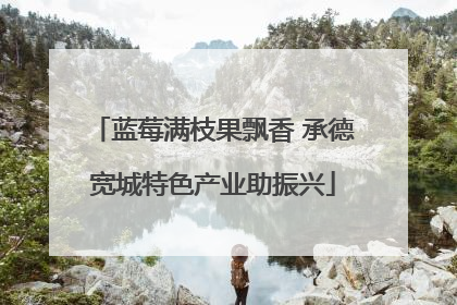 蓝莓满枝果飘香 承德宽城特色产业助振兴