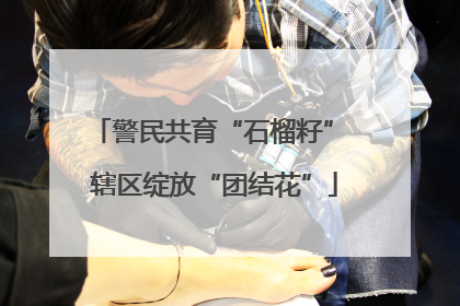 警民共育“石榴籽” 辖区绽放“团结花”