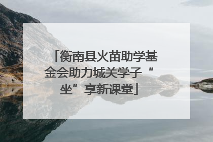 衡南县火苗助学基金会助力城关学子“坐”享新课堂
