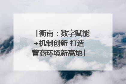 衡南：数字赋能+机制创新 打造营商环境新高地