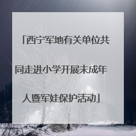 西宁军地有关单位共同走进小学开展未成年人暨军娃保护活动