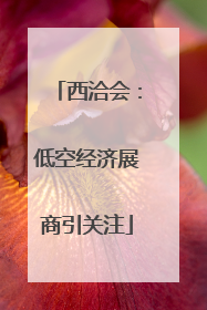 西洽会：低空经济展商引关注