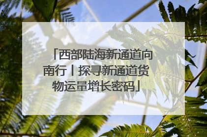 西部陆海新通道向南行丨探寻新通道货物运量增长密码
