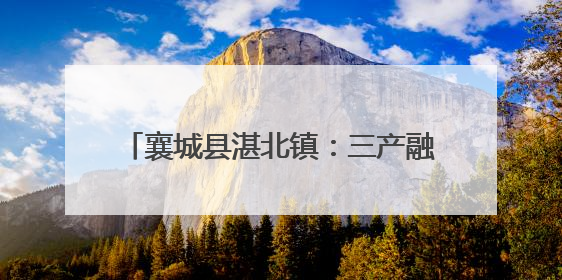 襄城县湛北镇：三产融合 奏响乡村振兴曲