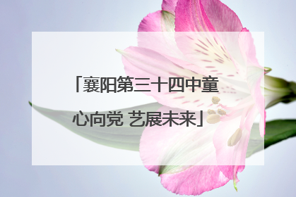 襄阳第三十四中童心向党 艺展未来