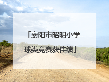 襄阳市昭明小学球类竞赛获佳绩