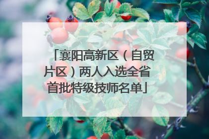 襄阳高新区（自贸片区）两人入选全省首批特级技师名单